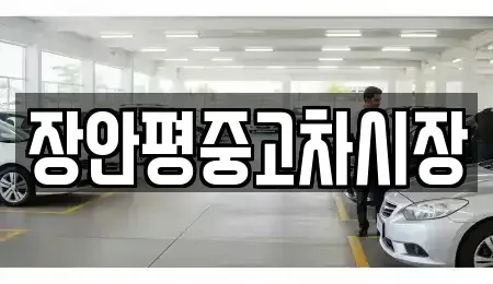 서울특별시 종로구 세종로 중고차매매 전문 장안평중고차시장