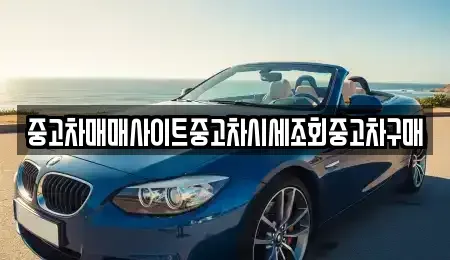 서울특별시 종로구 세종로 중고차매매 전문 중고차매매사이트중고차시세조회중고차구매