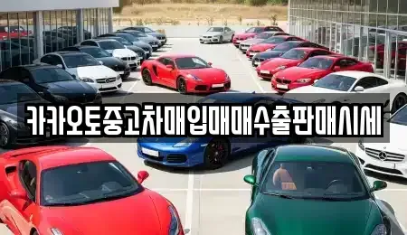 서울특별시 종로구 세종로 중고차매입 전문 카카오토중고차매입매매수출판매시세