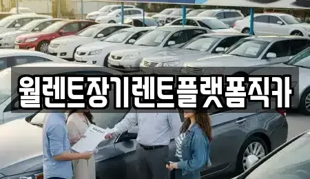 서울특별시 종로구 숭인동 장기렌트카 전문 월렌트장기렌트플랫폼직카
