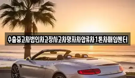 서울특별시 종로구 숭인동 중고차 전문 수출중고차법인차고장사고차망자차압류차1톤차매입센터