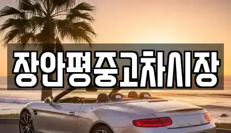 서울특별시 종로구 숭인동 중고차 전문 장안평중고차시장