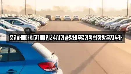 서울특별시 종로구 숭인동 중고차 전문 중고차매매최고가매입24시간출장비무료견적현장방문지누카