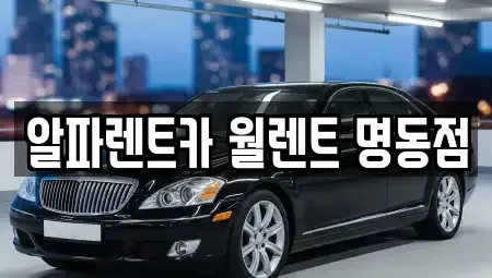 서울특별시 종로구 연지동 렌트카 전문 알파렌트카 월렌트 명동점