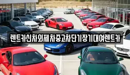 서울특별시 종로구 연지동 장기렌트카 전문 렌트카신차외제차중고차단기장기대여렌트카
