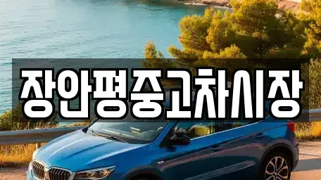 서울특별시 종로구 연지동 중고차,렌트카,중고차매입,중고차매매,장기렌트카,단기렌트카