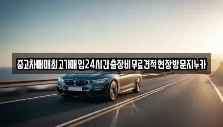 서울특별시 종로구 연지동 중고차 전문 중고차매매최고가매입24시간출장비무료견적현장방문지누카