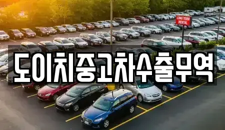 서울특별시 종로구 연지동 중고차매매 전문 도이치중고차수출무역