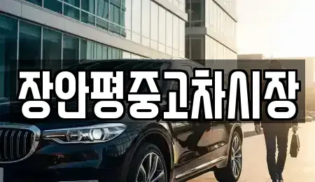 서울특별시 종로구 창신동 중고차 전문 장안평중고차시장