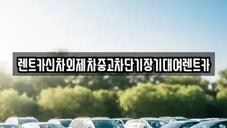 서울특별시 중구 남학동 렌트카 전문 렌트카신차외제차중고차단기장기대여렌트카