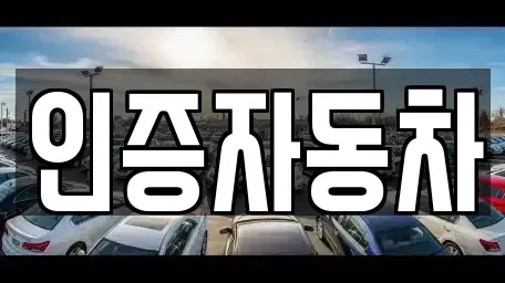 서울특별시 중구 남학동 중고차 전문 인증자동차