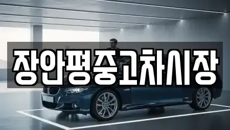 서울특별시 중구 남학동 중고차 전문 장안평중고차시장