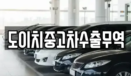 서울특별시 중구 남학동 중고차매매 전문 도이치중고차수출무역