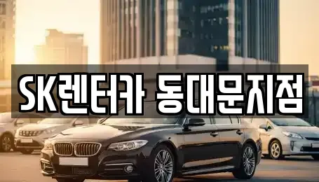 서울특별시 중구 렌트카 전문 SK렌터카 동대문지점