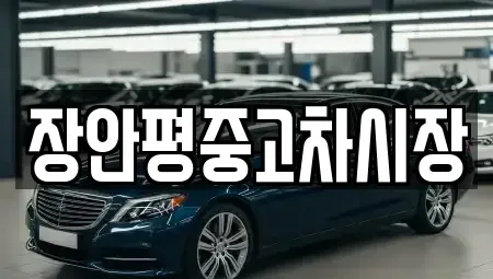 서울특별시 중구 중고차매매,단기렌트카,중고차매입,장기렌트카,중고차,렌트카