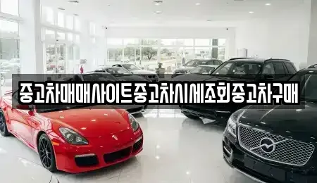 서울특별시 중구 중고차매매 전문 중고차매매사이트중고차시세조회중고차구매