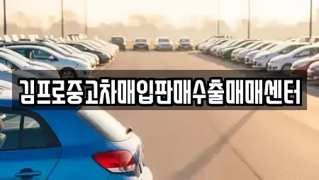 서울특별시 중구 중고차매입 전문 김프로중고차매입판매수출매매센터