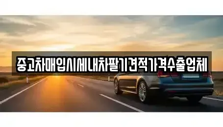 서울특별시 중구 중고차매입 전문 중고차매입시세내차팔기견적가격수출업체