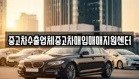 서울특별시 중구 중고차매입 전문 중고차수출업체중고차매입매매지원센터