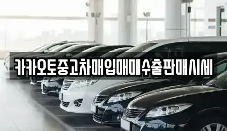 서울특별시 중구 중고차매입 전문 카카오토중고차매입매매수출판매시세