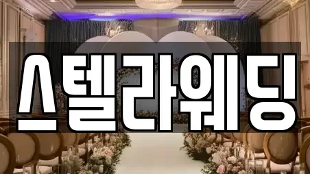 스텔라웨딩