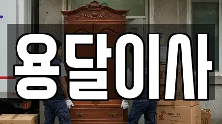 용달이사
