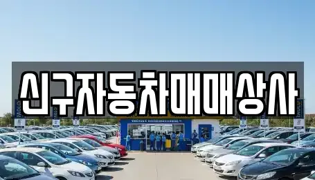 울산 남구 옥동 중고차매매 전문 신구자동차매매상사