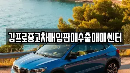 울산 남구 옥동 중고차매입 전문 김프로중고차매입판매수출매매센터