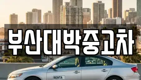 울산 울주군 서생면 중고차매매 전문 부산대박중고차