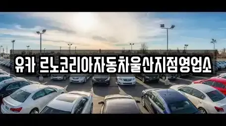 울산 중구 약사동 렌트카 전문 유카 르노코리아자동차울산지점영업소