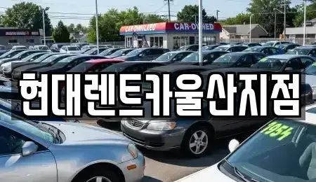 울산 중구 약사동 렌트카 전문 현대렌트카울산지점