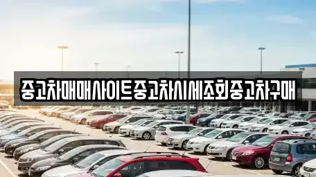 울산 중구 약사동 중고차매매 전문 중고차매매사이트중고차시세조회중고차구매