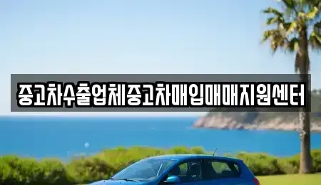 울산 중구 약사동 중고차매입 전문 중고차수출업체중고차매입매매지원센터