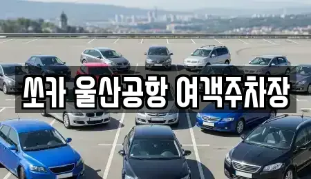 울산광역시 북구 송정동 렌트카 전문 쏘카 울산공항 여객주차장