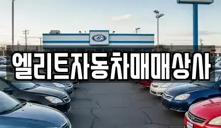 울산광역시 북구 송정동 중고차 전문 엘리트자동차매매상사