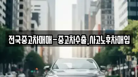울산광역시 북구 염포동 중고차 전문 전국중고차매매-중고차수출,사고노후차매입