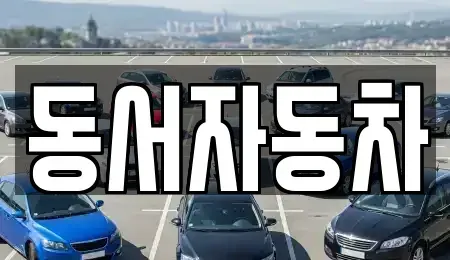 울산광역시 울주군 웅촌면 중고차매매 전문 동서자동차