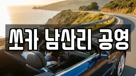 인천 강화군 송해면 렌트카 전문 쏘카 남산리 공영