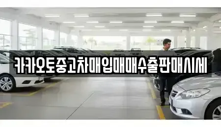 인천 강화군 송해면 중고차매매 전문 카카오토중고차매입매매수출판매시세