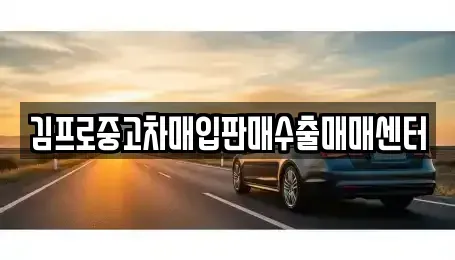 인천 강화군 송해면 중고차매입 전문 김프로중고차매입판매수출매매센터