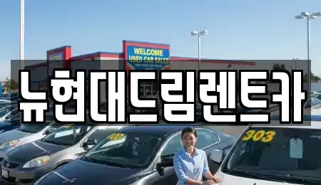 인천 계양구 평동 렌트카 전문 뉴현대드림렌트카