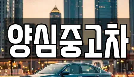 인천 계양구 평동 중고차매매 전문 양심중고차