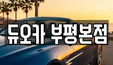 인천광역시 부평구 산곡동 장기렌트카 전문 듀오카 부평본점