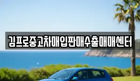 인천광역시 부평구 산곡동 중고차 전문 김프로중고차매입판매수출매매센터