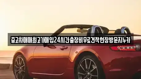 인천광역시 부평구 산곡동 중고차매입 전문 중고차매매최고가매입24시간출장비무료견적현장방문지누카