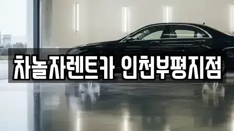 인천광역시 부평구 청천동 장기렌트카 전문 차놀자렌트카 인천부평지점