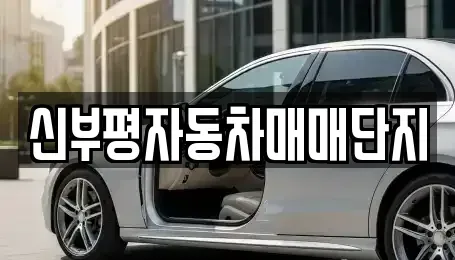 인천광역시 부평구 청천동 중고차 전문 신부평자동차매매단지