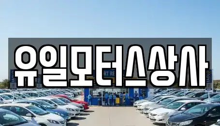 인천광역시 부평구 청천동 중고차 전문 유일모터스상사