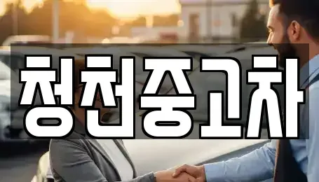 인천광역시 부평구 청천동 중고차 전문 청천중고차