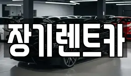 인천광역시 옹진군 렌트카 전문 장기렌트카